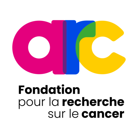 fundacja arc